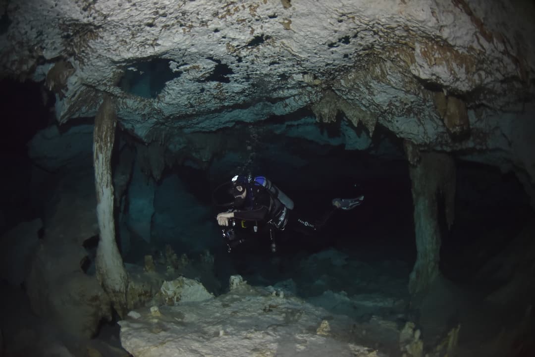 Picture of the author