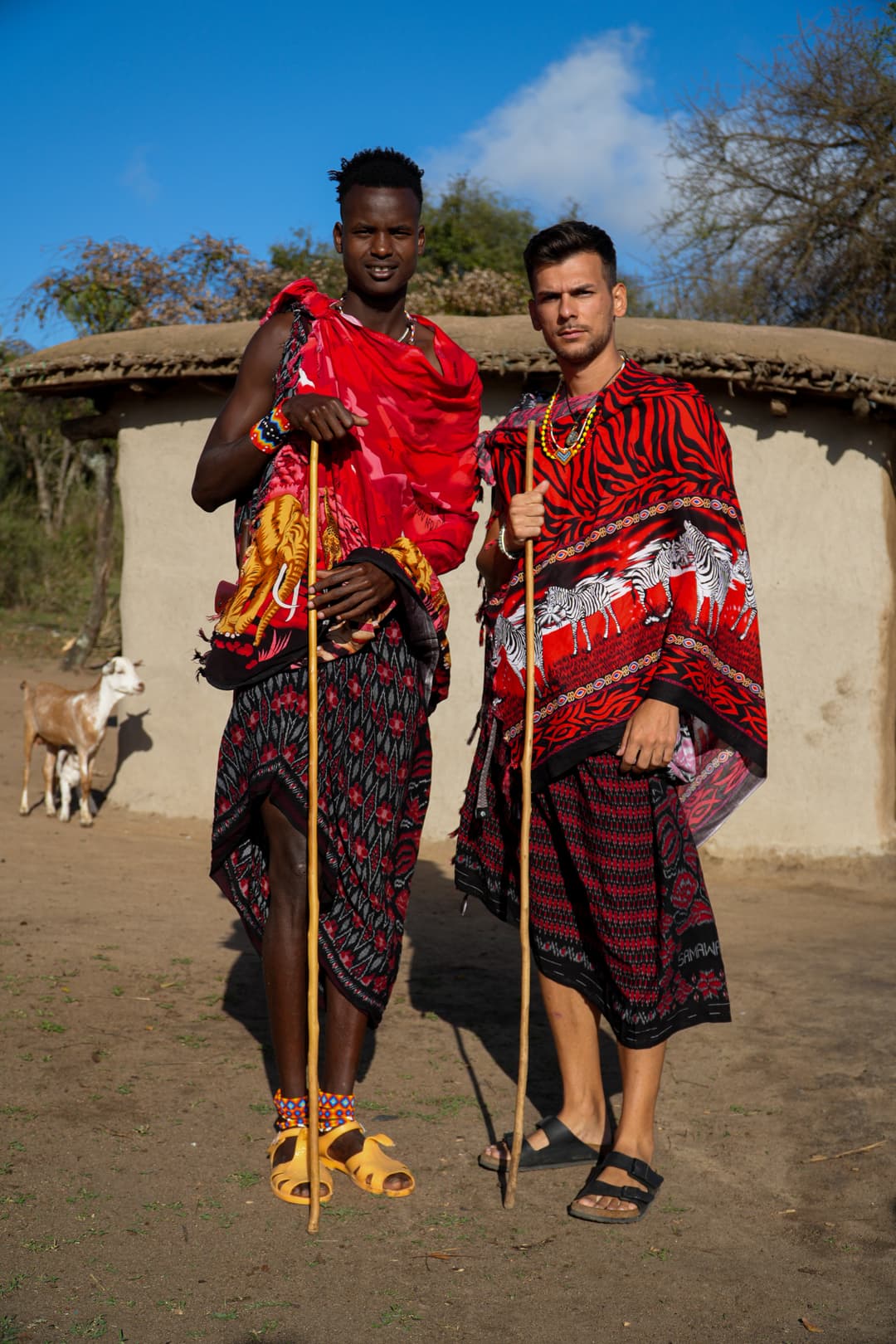 Picture of the author 0